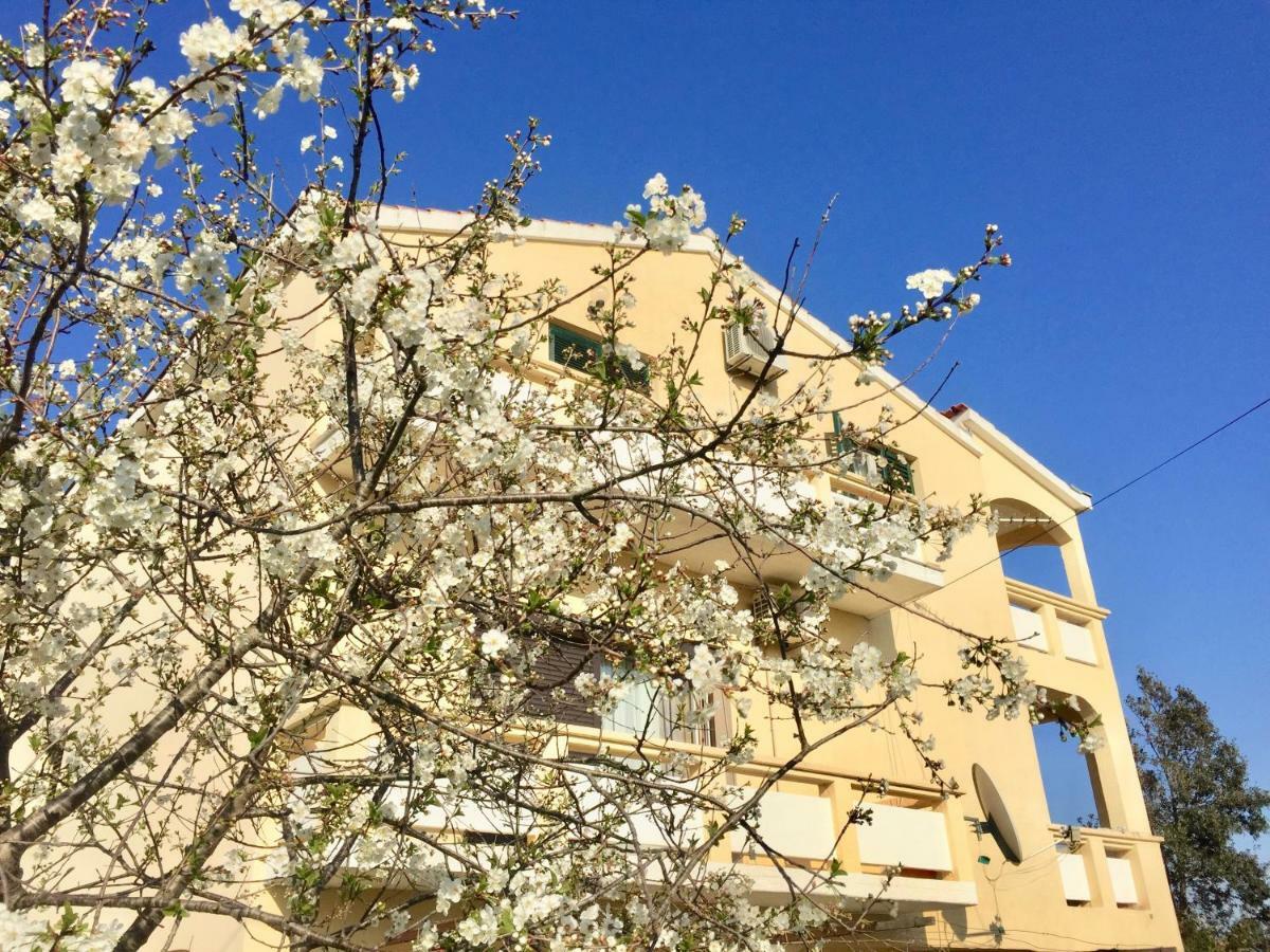 Apartmani Bosiljka Нин Екстериор снимка
